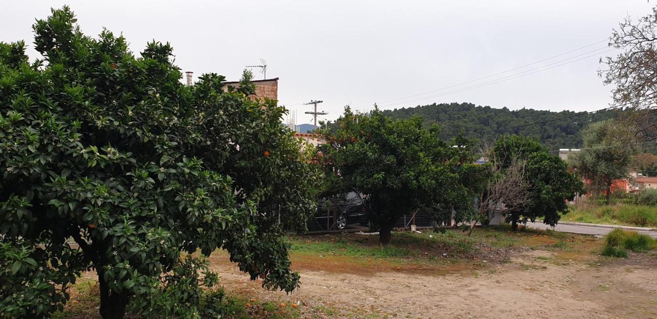 Walnut Home Apartment Near Ancient Olympia Krestena Екстер'єр фото